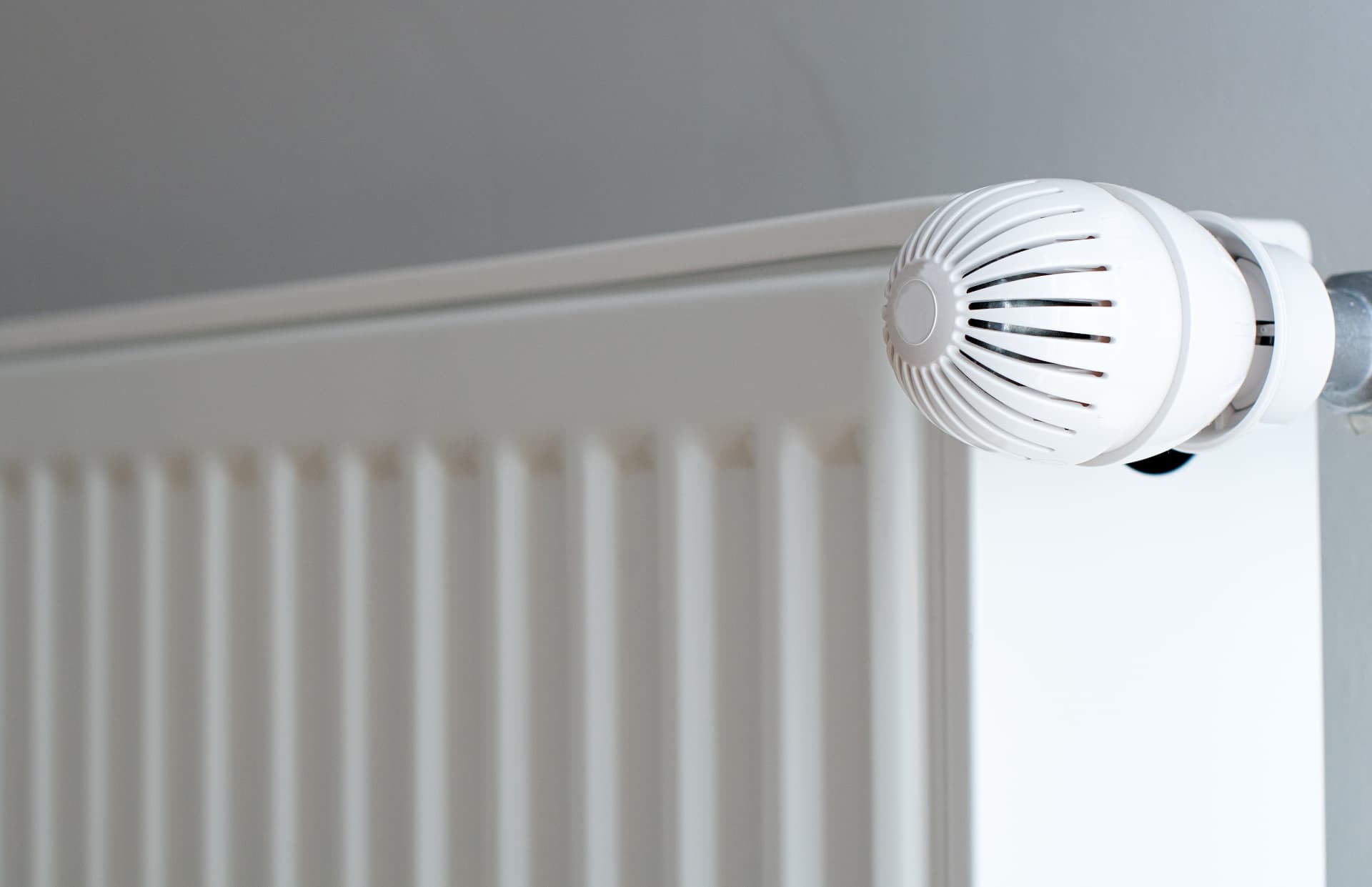 Modern white panel radiator with a thermostatic radiator valve